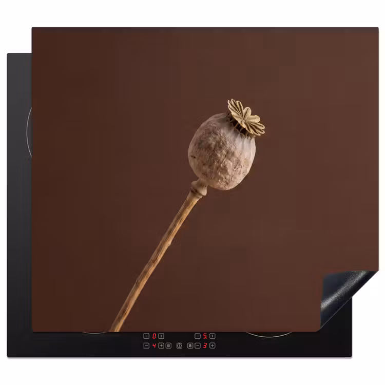 Protezione piano induzione - Bulbo di papavero - Fiore secco - Marrone - Minimalista — 1