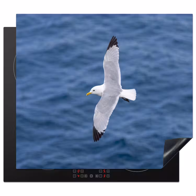 Protezione piano induzione - Gabbiano - Oceano - Blu — 1