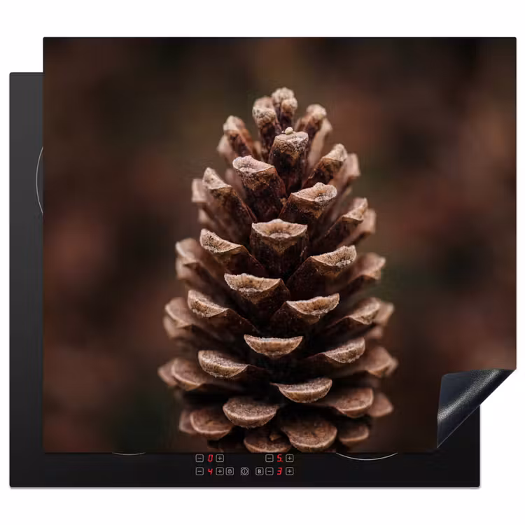 Protezione piano induzione - Pigna - Foresta - Autunno - Marrone - Atmosfera — 1