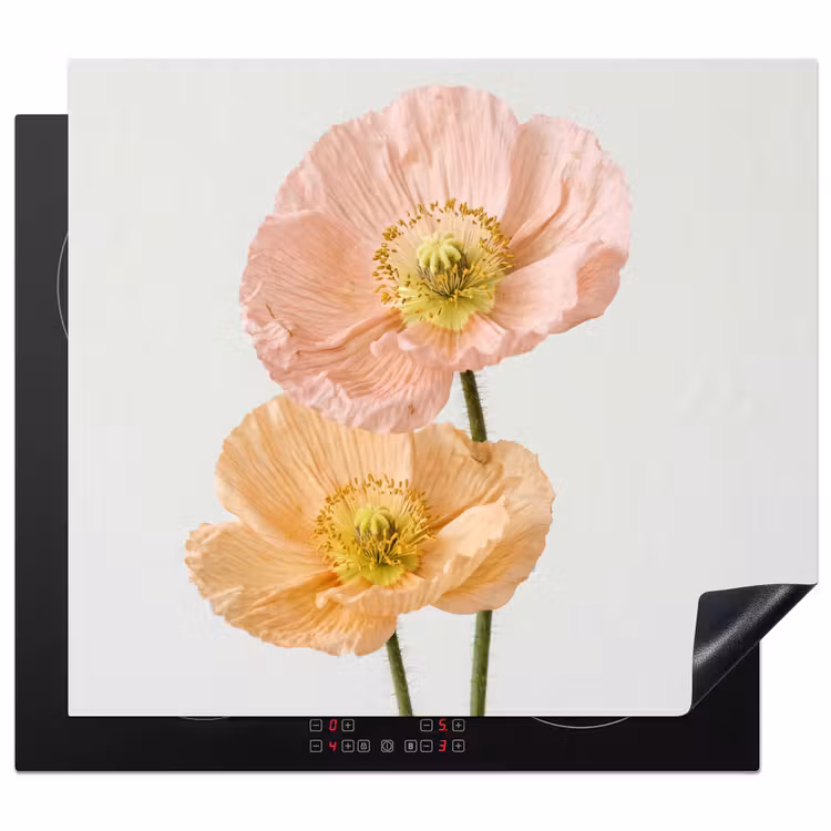 Protezione piano induzione - Papaveri - Botanico - Rosa — 1