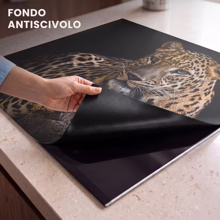 Protezione piano induzione - Vista dal Cacciatore Nascosto — 6