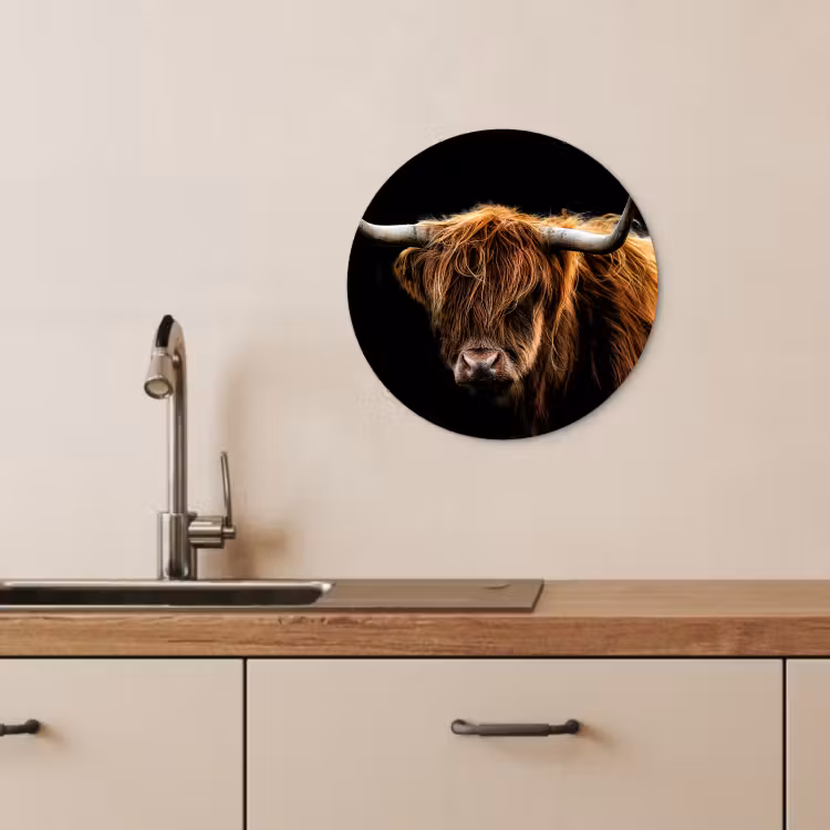 Quadro rotondo - Contrasto di ombra e pelo — 4