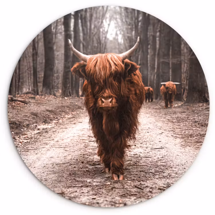 Quadro rotondo - Leader del tour — 1