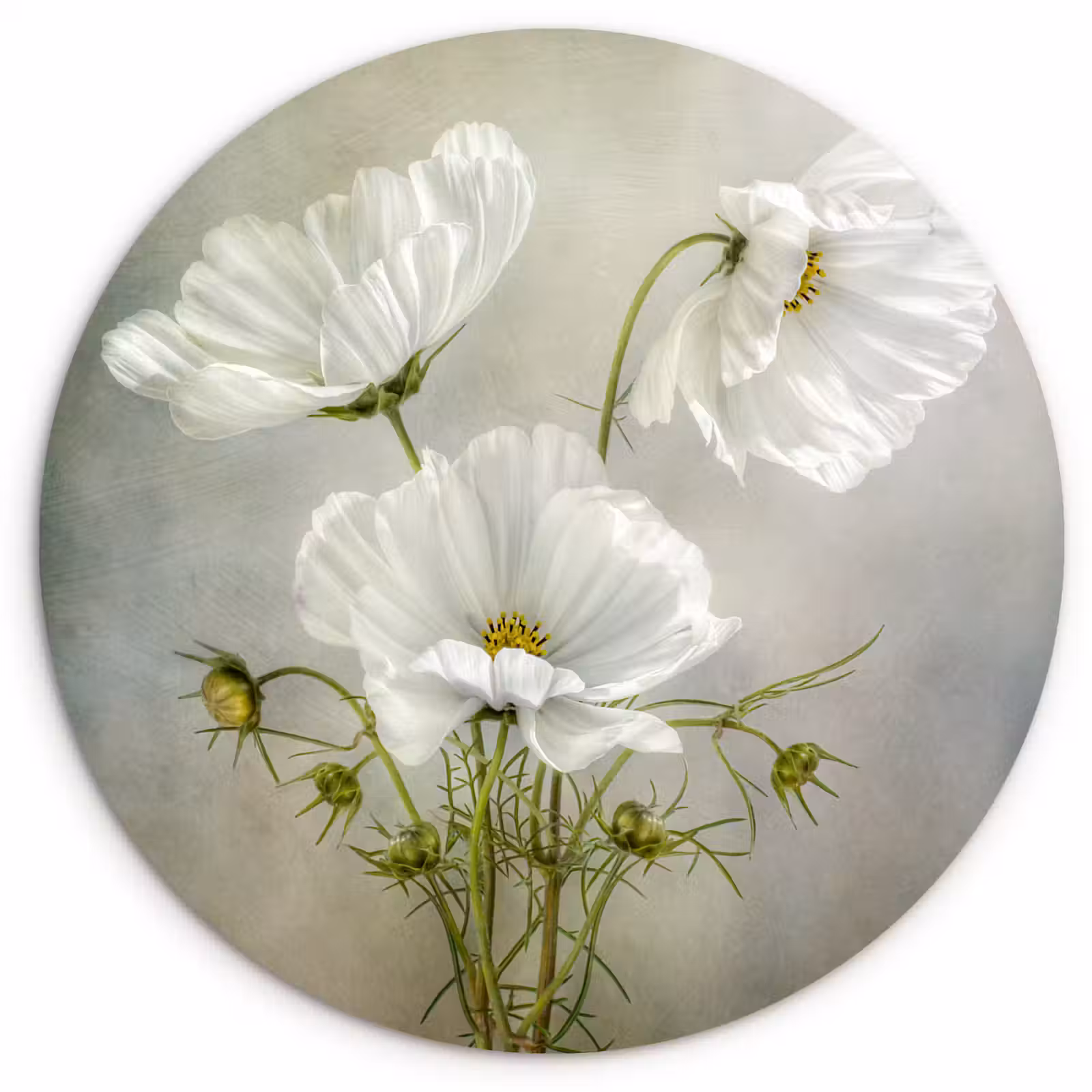 Quadro rotondo - Pura semplicità — 1
