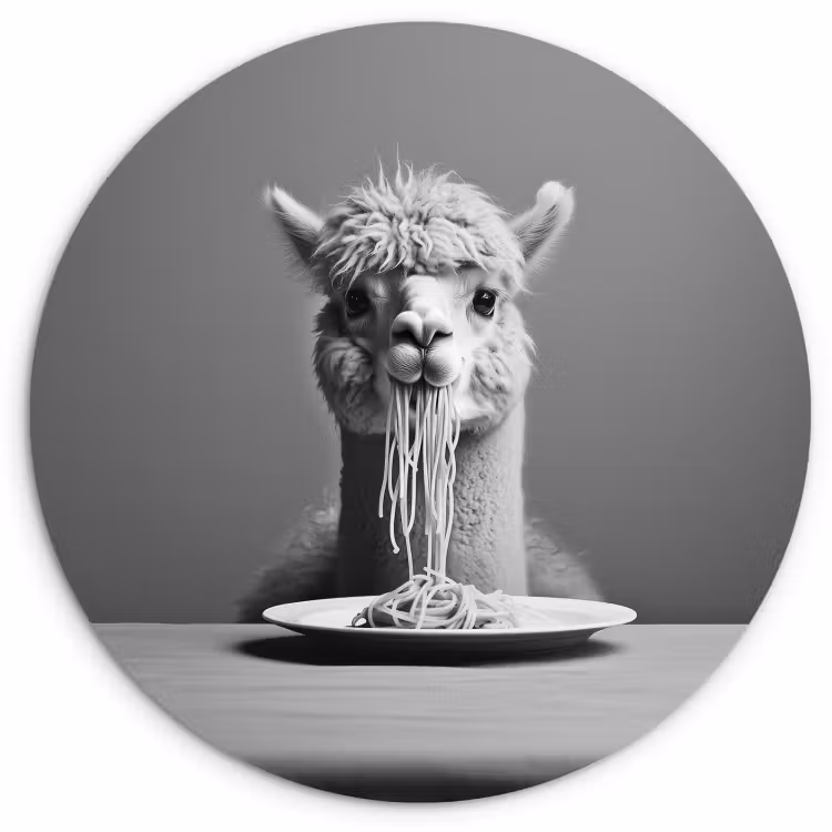 Quadro rotondo - Alpaca - Pasta - Nero - Bianco - Divertente - Animali — 3