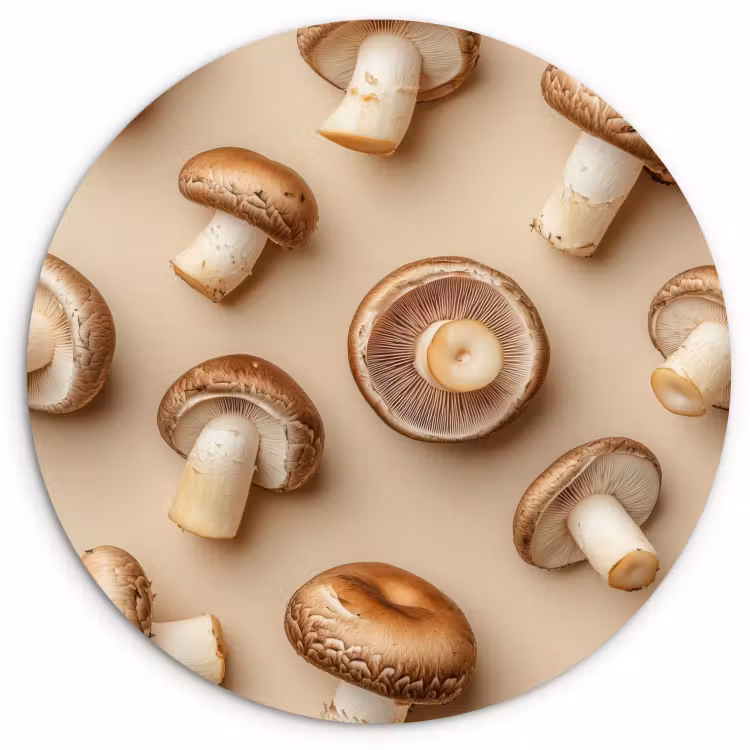 Quadro rotondo - Funghi di castagno - Beige — 3
