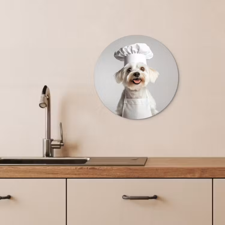 Quadro rotondo - Cane - Bianco - Cuoco — 2