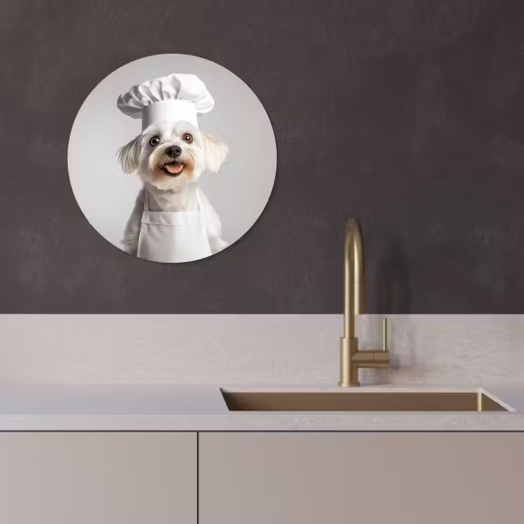 Quadro rotondo - Cane - Bianco - Cuoco — 4