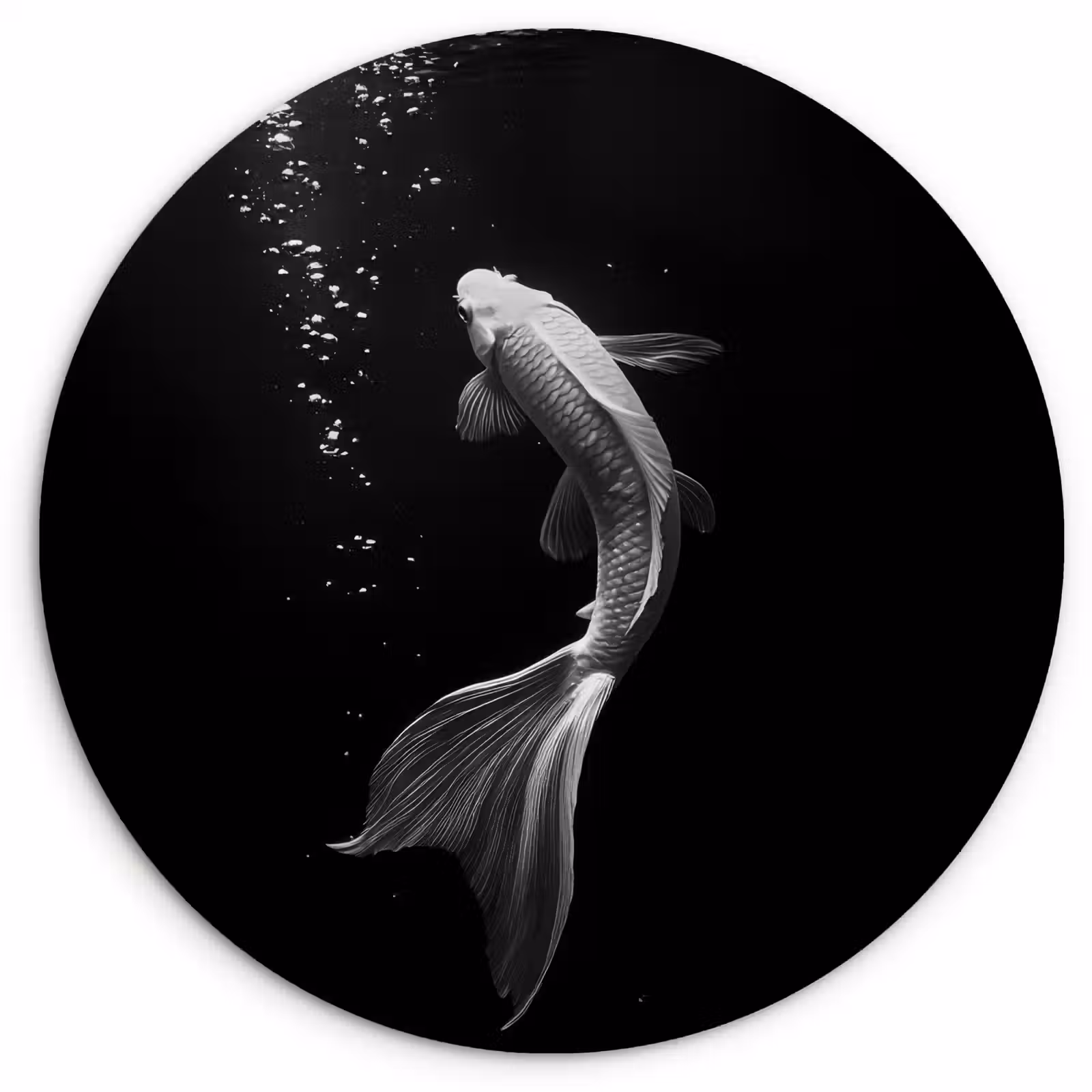 Quadro rotondo - Koi - Pesce - Bianco - Nero — 1