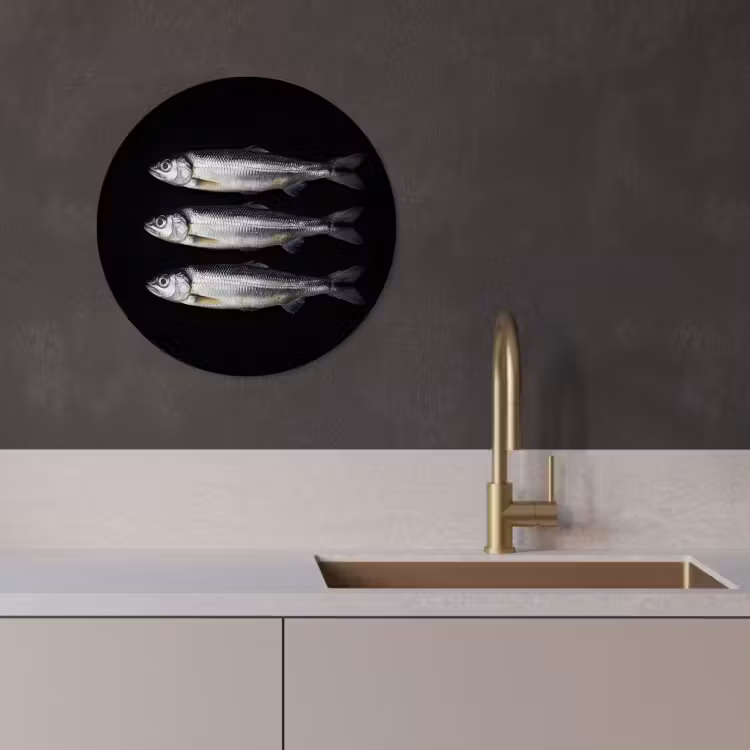 Quadro rotondo - Aringa - Pesce - Nero — 4