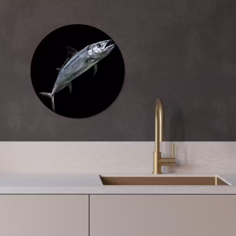 Quadro rotondo - Sgombro - Pesce - Nero — 4