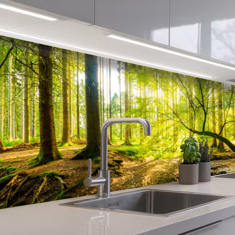 Schienale cucina - Foresta - Paesaggio - Acqua - Alberi - Sole - Verde - Natura — 1
