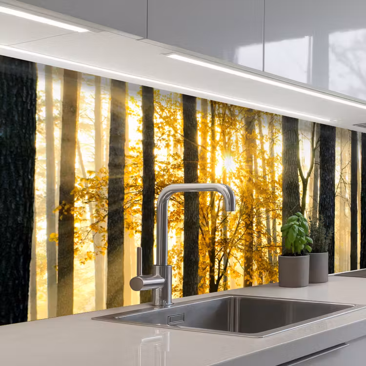 Schienale cucina - Foresta - Sole - Alberi - Erba - Paesaggio - Natura — 1