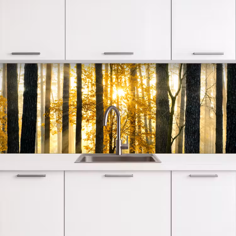 Schienale cucina - Foresta - Sole - Alberi - Erba - Paesaggio - Natura — 3