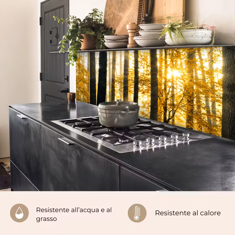 Schienale cucina - Foresta - Sole - Alberi - Erba - Paesaggio - Natura — 4
