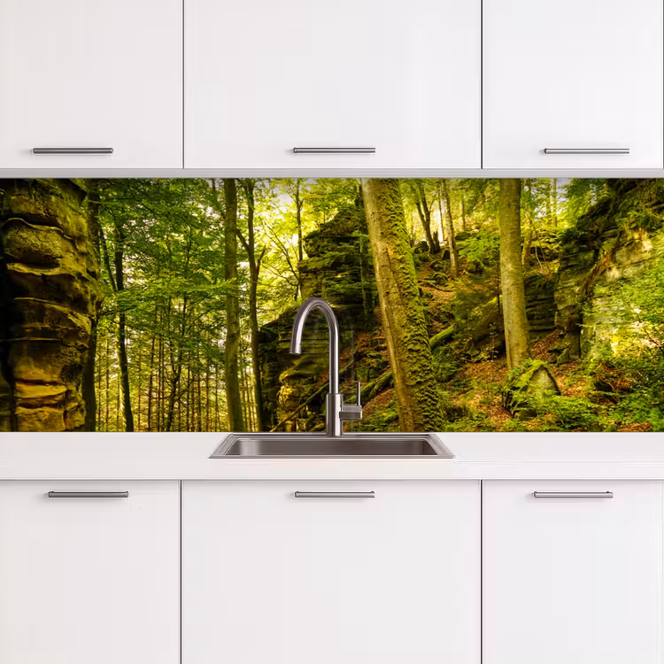 Schienale cucina - Alberi - Pietra - Foresta - Natura - Piante — 3