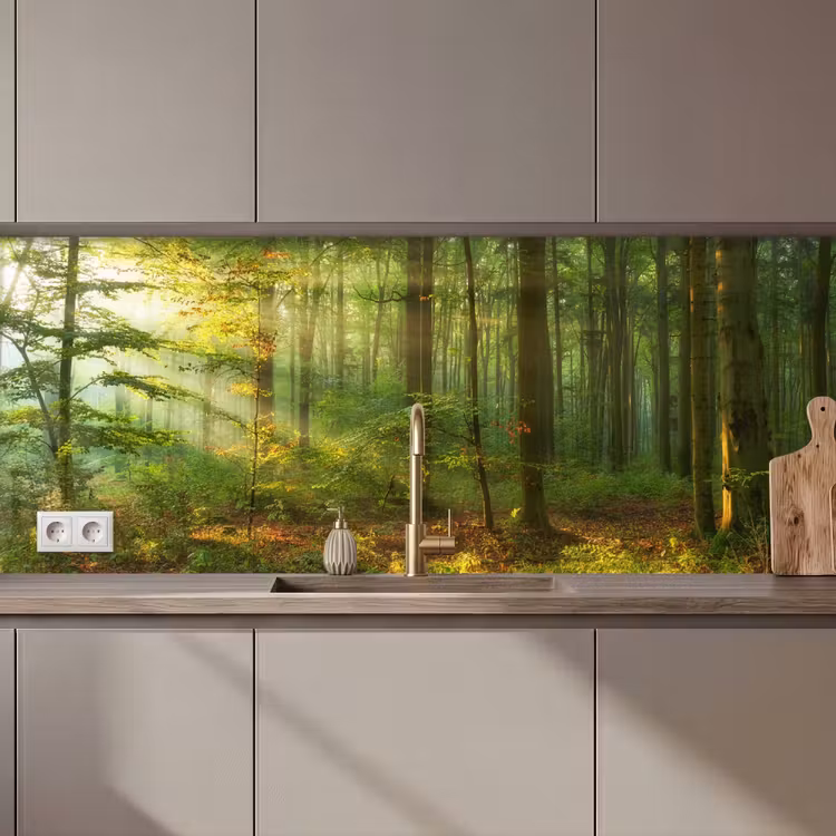 Schienale cucina - Sole - Foresta - Alberi - Natura - Autunno — 1