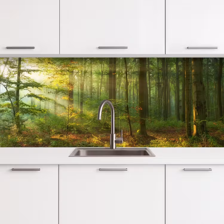 Schienale cucina - Sole - Foresta - Alberi - Natura - Autunno — 4