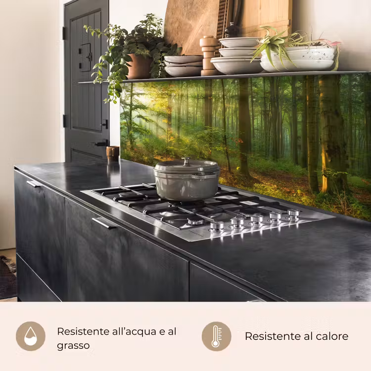 Schienale cucina - Sole - Foresta - Alberi - Natura - Autunno — 5