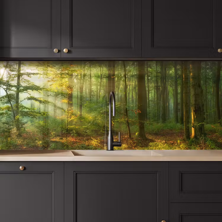 Schienale cucina - Sole - Foresta - Alberi - Natura - Autunno — 6