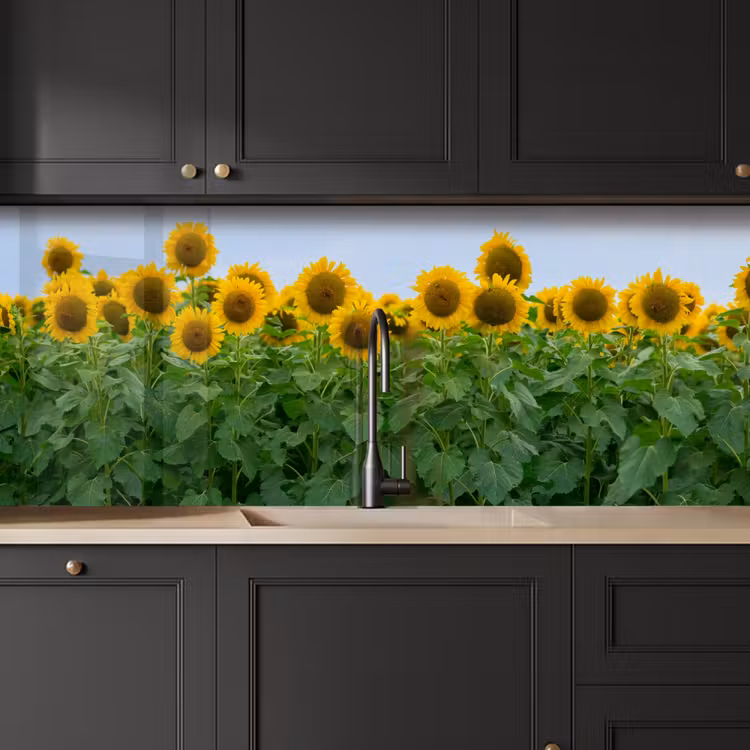 Schienale cucina - Girasoli - Giallo - Natura — 6