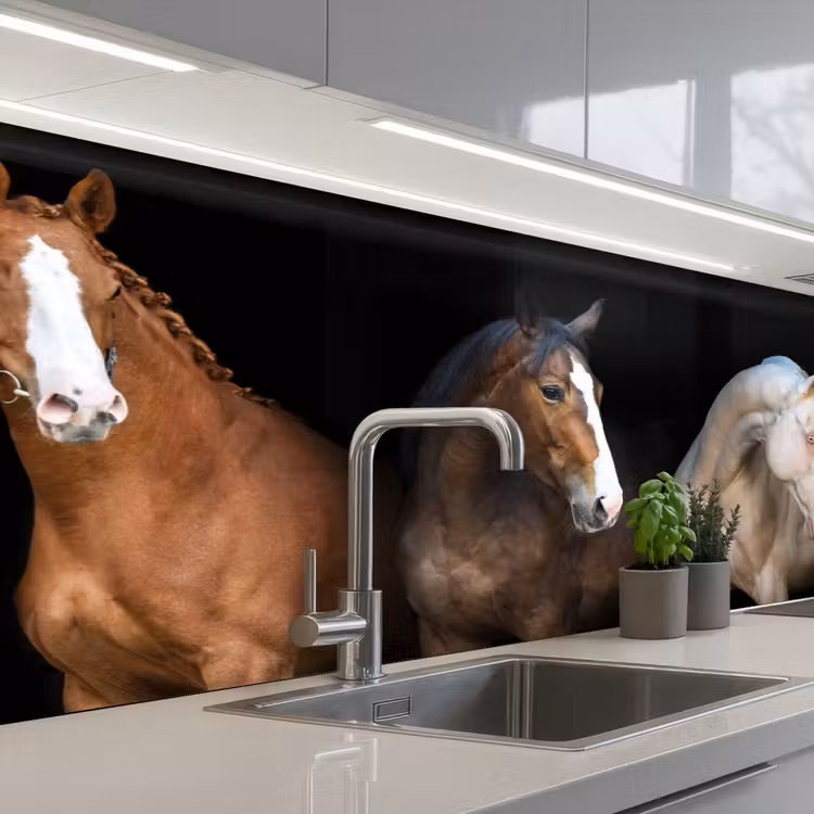 Schienale cucina - Cavallo - Animali - Nero — 2