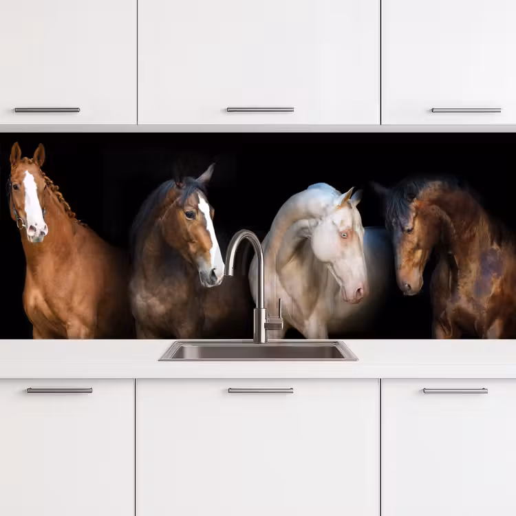 Schienale cucina - Cavallo - Animali - Nero — 4