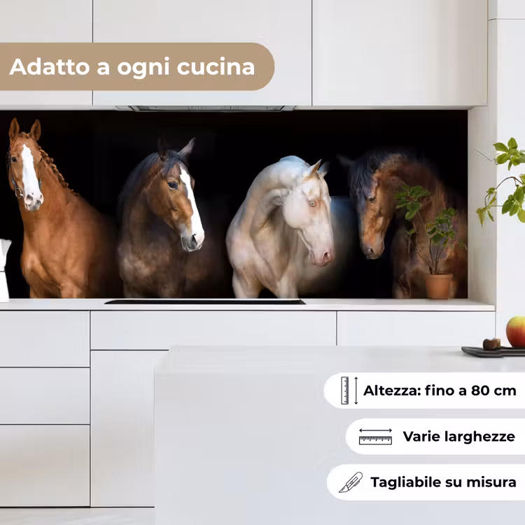 Schienale cucina - Cavallo - Animali - Nero — 7