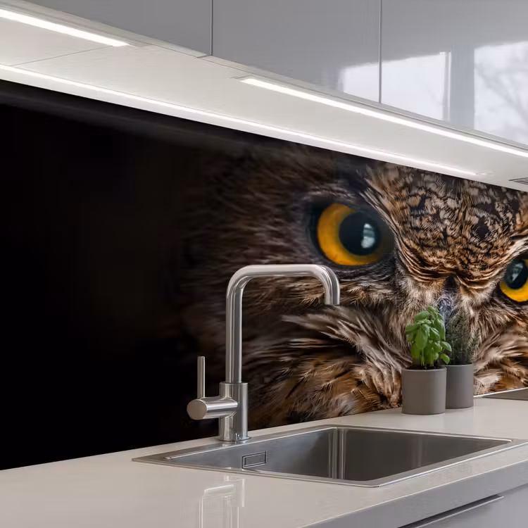 Schienale cucina - Gufo - Animale - Arancione — 2