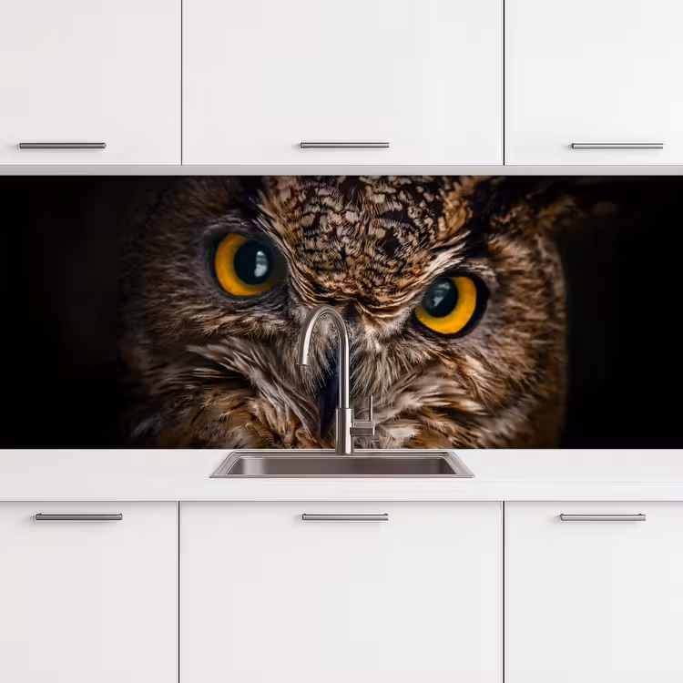 Schienale cucina - Gufo - Animale - Arancione — 4