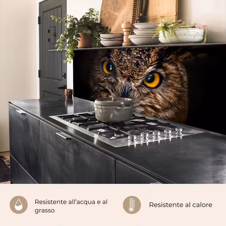 Schienale cucina - Gufo - Animale - Arancione — 5