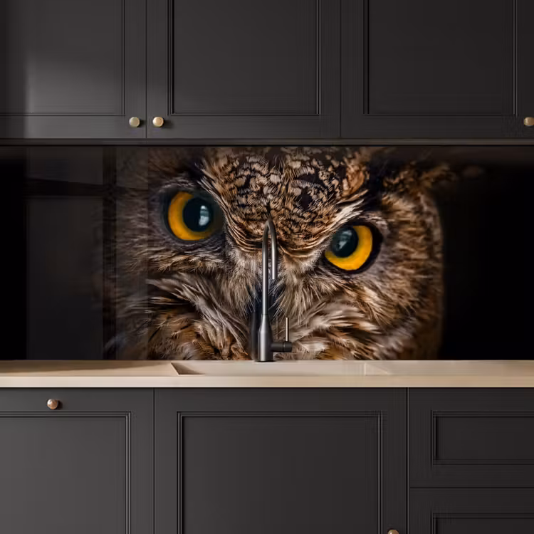 Schienale cucina - Gufo - Animale - Arancione — 6