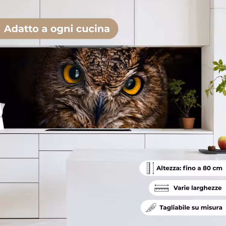 Schienale cucina - Gufo - Animale - Arancione — 7