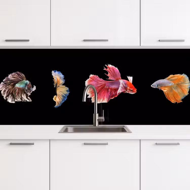 Schienale cucina - Pesce - Colorato - Animali — 4