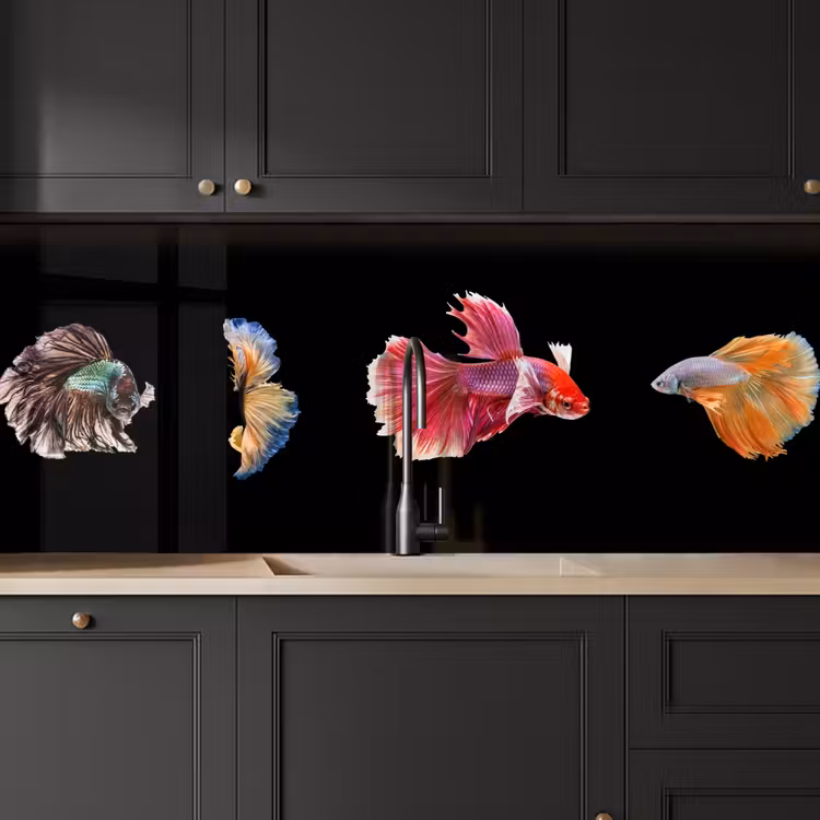 Schienale cucina - Pesce - Colorato - Animali — 6