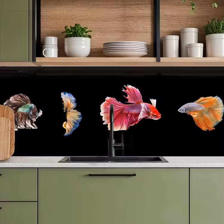 Schienale cucina - Pesce - Colorato - Animali — 8