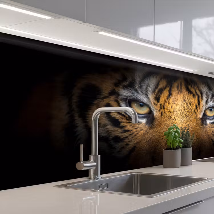 Schienale cucina - Tigre - Nero - Animale — 2
