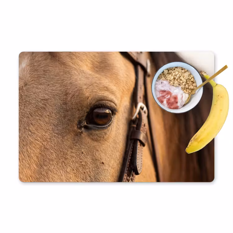 Tovaglietta – 6 pezzi - Cavallo - Occhio - Marrone — 1