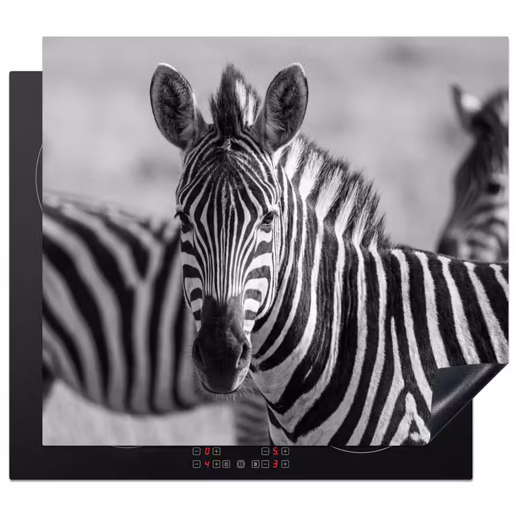 Protezione piano induzione - Zebre - Nero - Bianco — 1