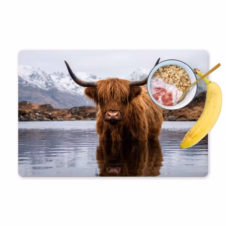 Tovaglietta – 6 pezzi - Highlander scozzese - Marrone - Acqua — 1