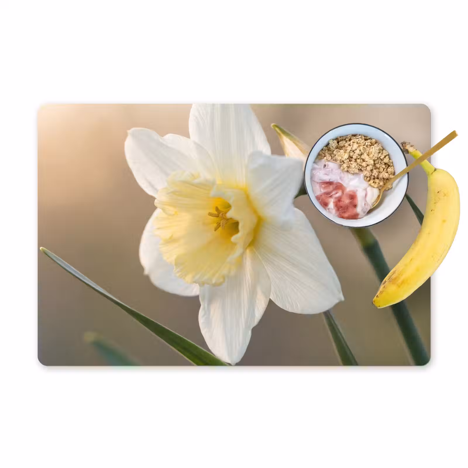 Tovaglietta – 6 pezzi - Narciso - Fiore - Minimalista — 1
