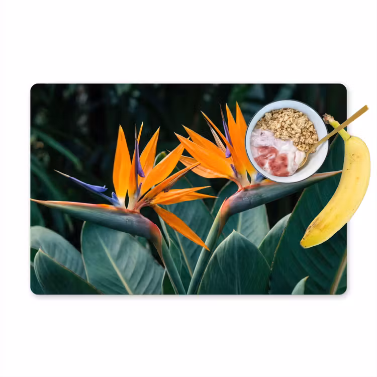 Tovaglietta – 6 pezzi - Uccello del paradiso - Fiore - Esotico — 1