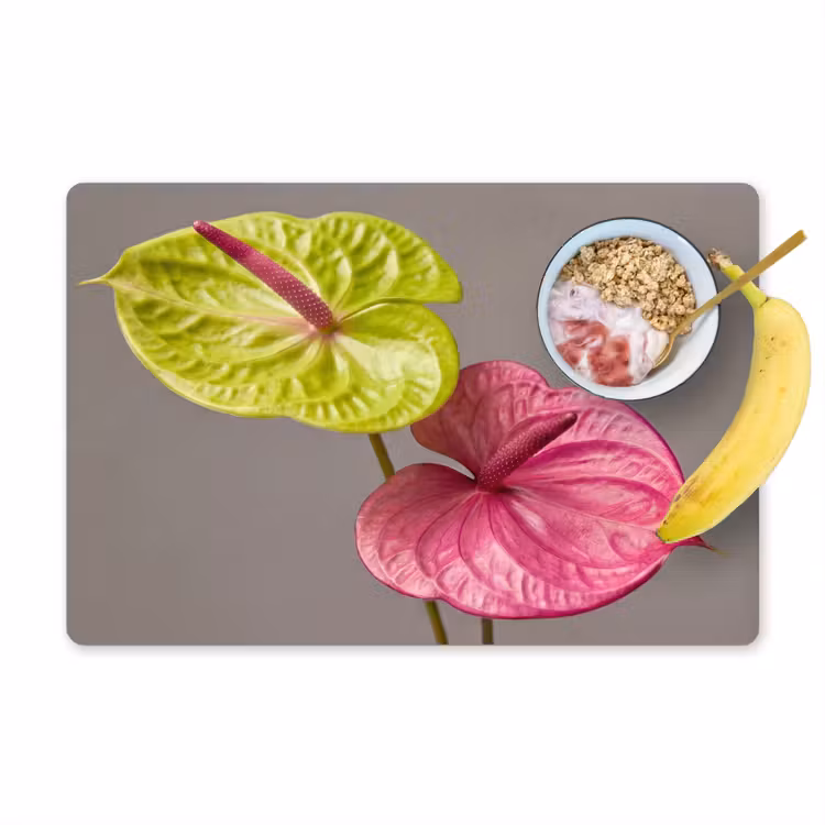 Tovaglietta – 6 pezzi - Piante - Anthurium - Verde - Rosa — 1