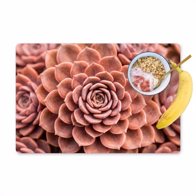 Tovaglietta – 6 pezzi - Succulenta - Organica - Rosa — 1