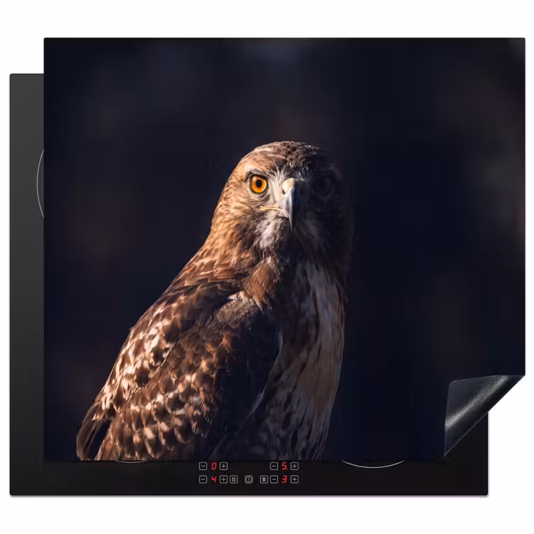 Protezione piano induzione - Uccello rapace - Poiana - Marrone — 1