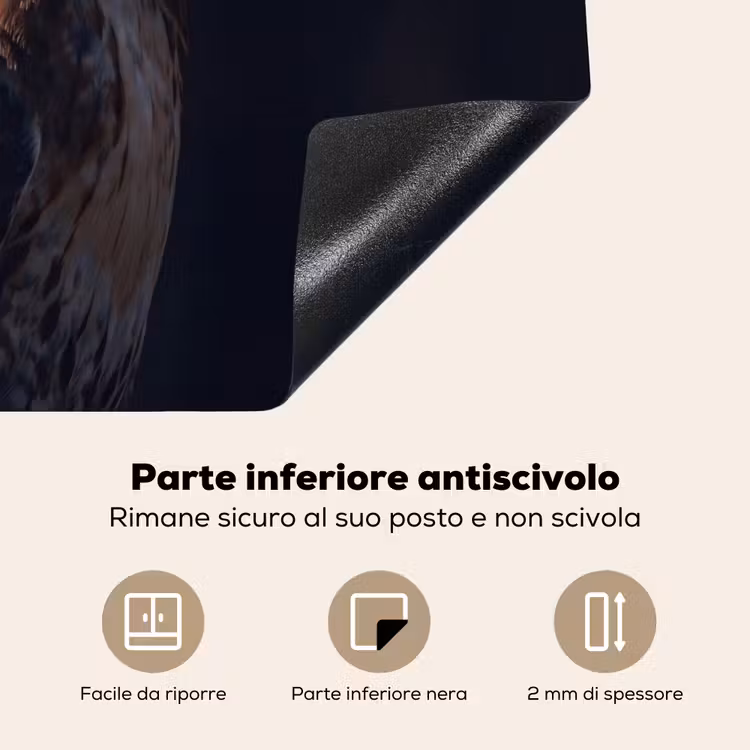 Protezione piano induzione - Uccello rapace - Poiana - Marrone — 6
