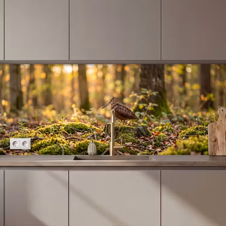 Schienale cucina - Beccaccia - Foresta - Foglie - Autunno - Mimetizzata — 1