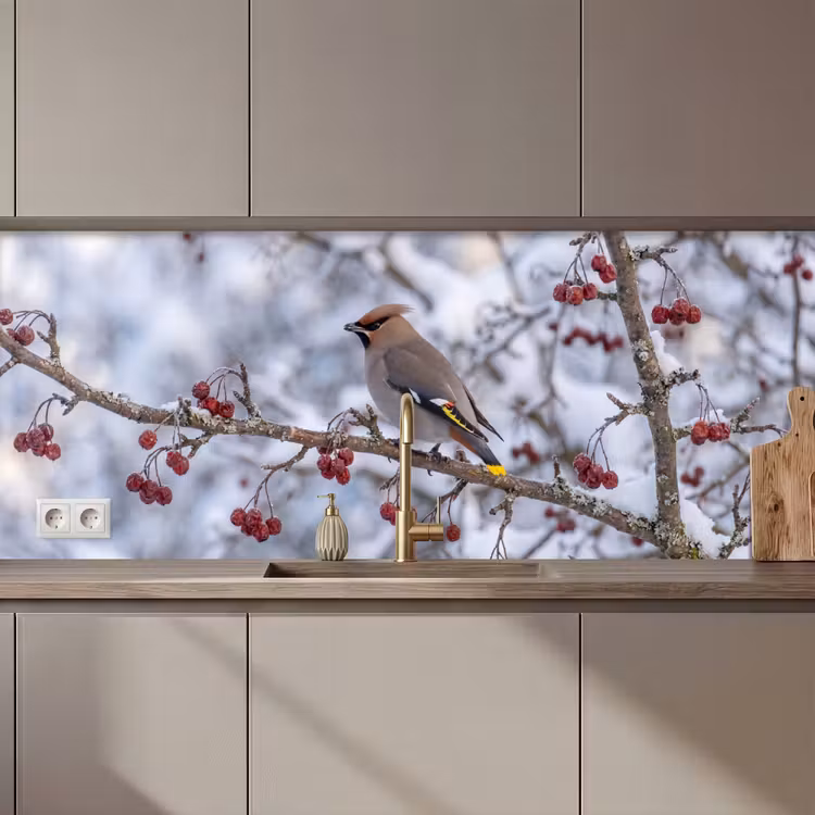 Schienale cucina - Ghiro - Bacche - Inverno - Natura — 1
