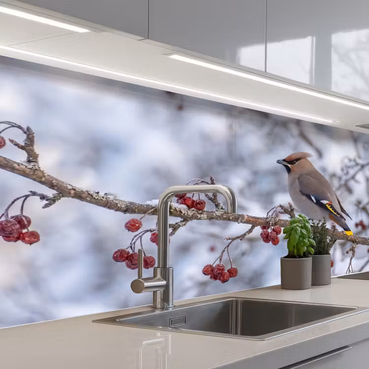 Schienale cucina - Ghiro - Bacche - Inverno - Natura — 2