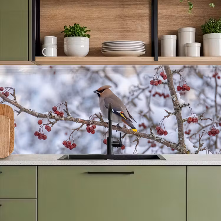 Schienale cucina - Ghiro - Bacche - Inverno - Natura — 8